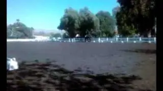 Riding Liza