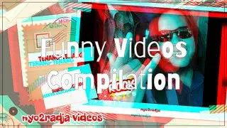 Funny Videos Compilation