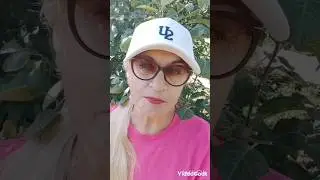 "7 чудес света"- это что?