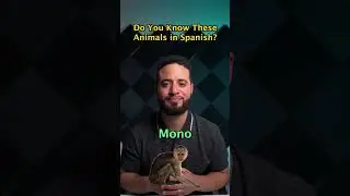Can You Name These Animals in Spanish?