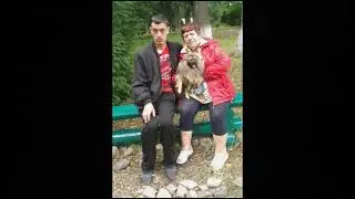 Видео Слайды