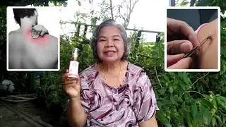 บัวแก้ว - น้ำมันว่าน 108