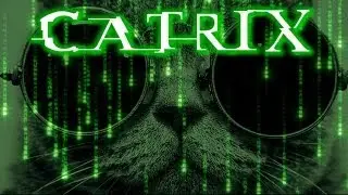 CATRIX - Matrix Cat Parody