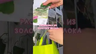 РАСПАКОВКА ИЗ ЗЯ 🍎 #косметика #золотоеяблоко #cosmetics #shorts #распаковкаиобзор #распаковка