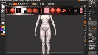 Zbrush Tutorial [beginners] - Starting new characters from scratch