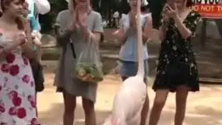 10 Haziran 2018