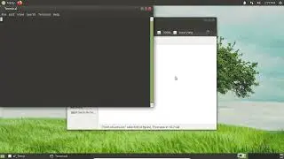 How to create shared folder between Ubuntu 20.04 guest and Windows host