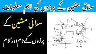 How a Sewing Machine Works (And Why You Should Care)