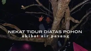 Camping di Pantai Tersembunyi | Melintasi Tebing Curam | Tidur di Atas Pohon