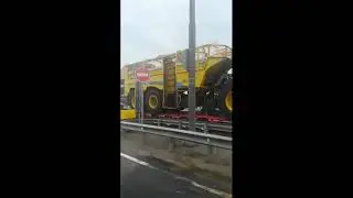 Везут настоящего тигра!))) #shorts