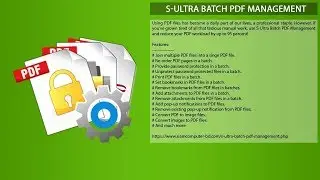 S-Ultra Batch PDF Management