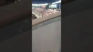 parcage ultras parisiens avant le coup d'envoi au camp nou