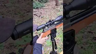HAWKE VANTAGE IR 4-12X50 AO IR | Evanix AR6K .22 PCP #plinking #airguns #pcp #targetshooting