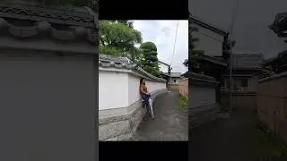 Japan Traditional Houses| #shorts |Gets Hobbies