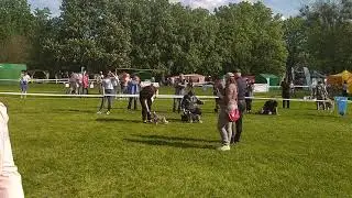 16 мая 2021 г.