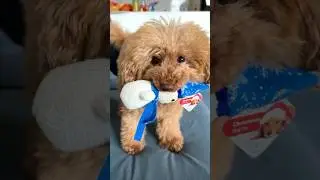Адвент календарь 2