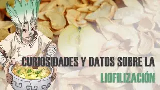 ¿Cómo se LIOFILIZAN los alimentos? | Explicado en 7 minutos 🥡🏭✅