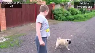 Mobile Hyperlapse VS Hyperlapse Pro - Running Pug