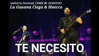 Huecco & La Gusana Ciega - TE NECESITO (Videoclip oficial, Ciudad de México)