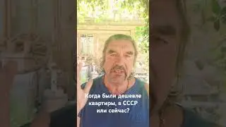 7 сентября 2024 г.