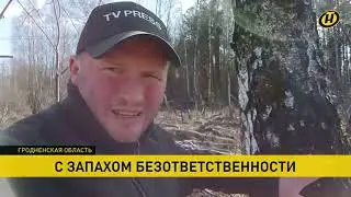 Сюжет