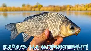 Look at the MORMYSHING!