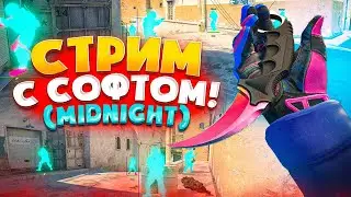 🔥 СТРИМ С ЧИТАМИ CS 2 // MIDNIGHT // С СОФТОМ ДО ГЛОБАЛА [40] 🔥