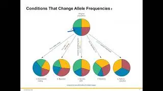 Changing Alleles Frequencies.