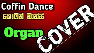 කොෆින් ඩාන්ස්|Coffin Dance|Orgen Cover