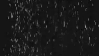 erhZ • Words as Water