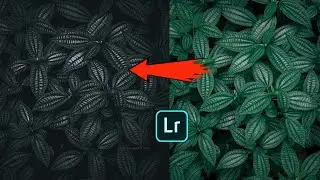 ❇️ LEAVES DARK MOODY TONE USING LIGHTROOM @THEMOODYTONE
