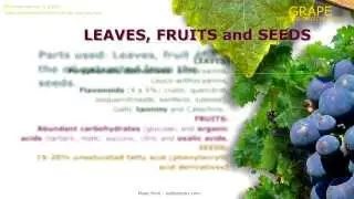 Grape benefits (Vitis vinifera). Medicinal properties attributed to the Grape plant.