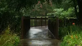 Шум дождя 10 ЧАСОВ для разгрузки успокоение нервной системы - Звуки дождя и грома для сна