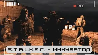 Работа с Морриган ★ S.T.A.L.K.E.R.★ Инкубатор (#7)