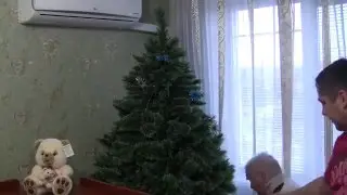 Наряжаем елку. С Новым Годом! Happy New Year!!!