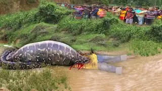 Boy Goes Fishing | Gets Attacked by Giant Anaconda | snake attack
