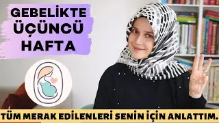 3 Haftalık Gebelik