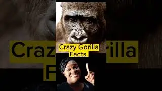 Crazy Facts #shorts #youtubeshorts