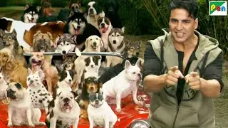Mobile Tower Bulaya Tha Ye Sim Card Kaha Se Aa Gaya - Akshay Kumar Comedy Scenes - Entertainment