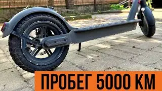 Xiaomi M365 пробег 5000 км. Что случилось с электросамокатом?