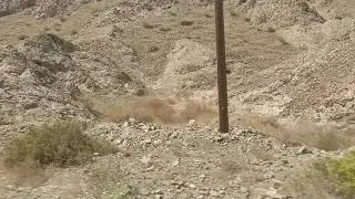 Dubai to Oman