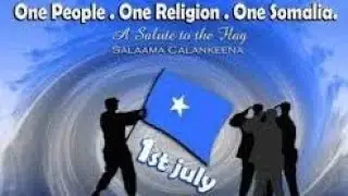 1da lulyo  maalin qiimo leh