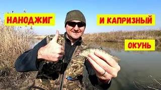 Наноджиг и капризный окунь !