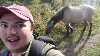 Kent Coast Walk - Ramsgate to Sandwich! (Pegwell Bay)