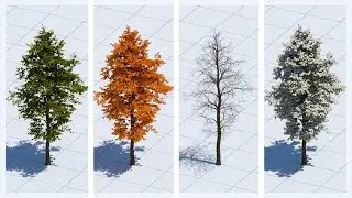 Rendering 3D Trees in Different Seasons - VRay for Rhino