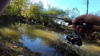 Using A YUM Curly Tail Grub To Catch Fish