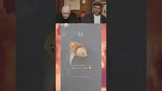 СМЕХ С ВОДОЙ😂 | ПОПРОБУЙ НЕ ЗАСМЕЯТЬСЯ 155