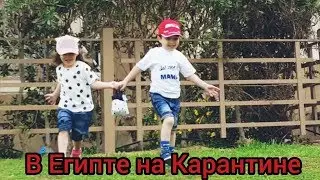 Карантин в Египте. КОРОНАВИРУС в Египте.Чем занимаемся и как проходит наш КАРАНТИН