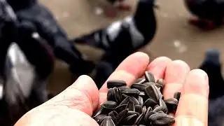 22 октября 2024 г.