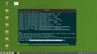 How to Install mysql 8 on linuxmint / ubuntu